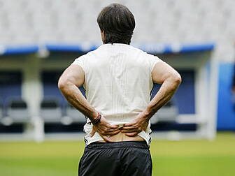 Joachim Low apologises over pi...